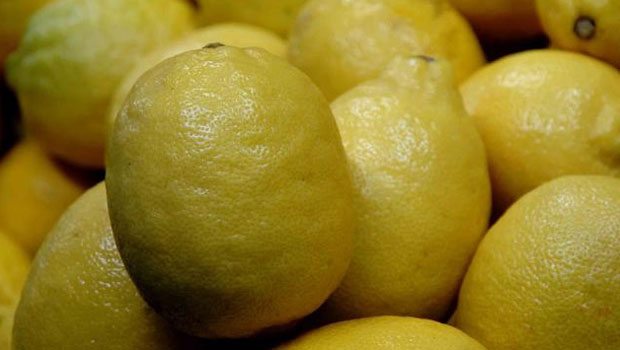 TİGEM 4 bin ton limon satacak
