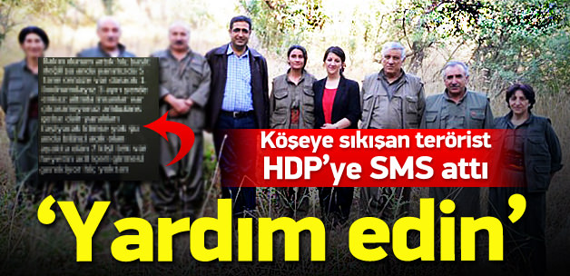 Terörist HDP’li vekilden SMS’le yardım istedi