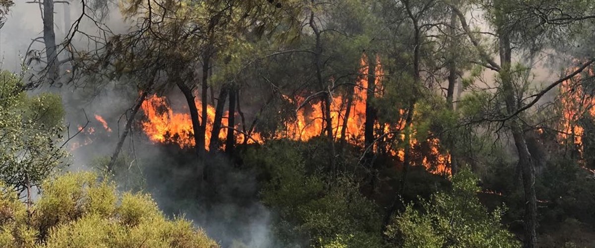 Fethiye'de orman yangını