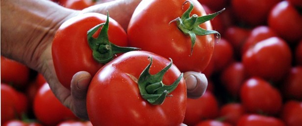 Rusya Tarım Bakanı Tkaçev Türkiye’den domates ithal etmeye hazır değiliz