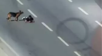 Samsun’da Sürünerek İlerleyen Kişi Kamerada