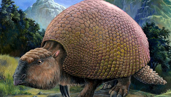 10 milyon yıllık gliptodon bulundu