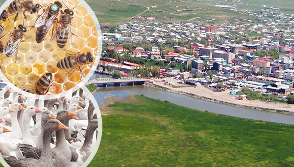 Orta Asya’nın kapısı Ardahan yatırımcı ve turist bekliyor