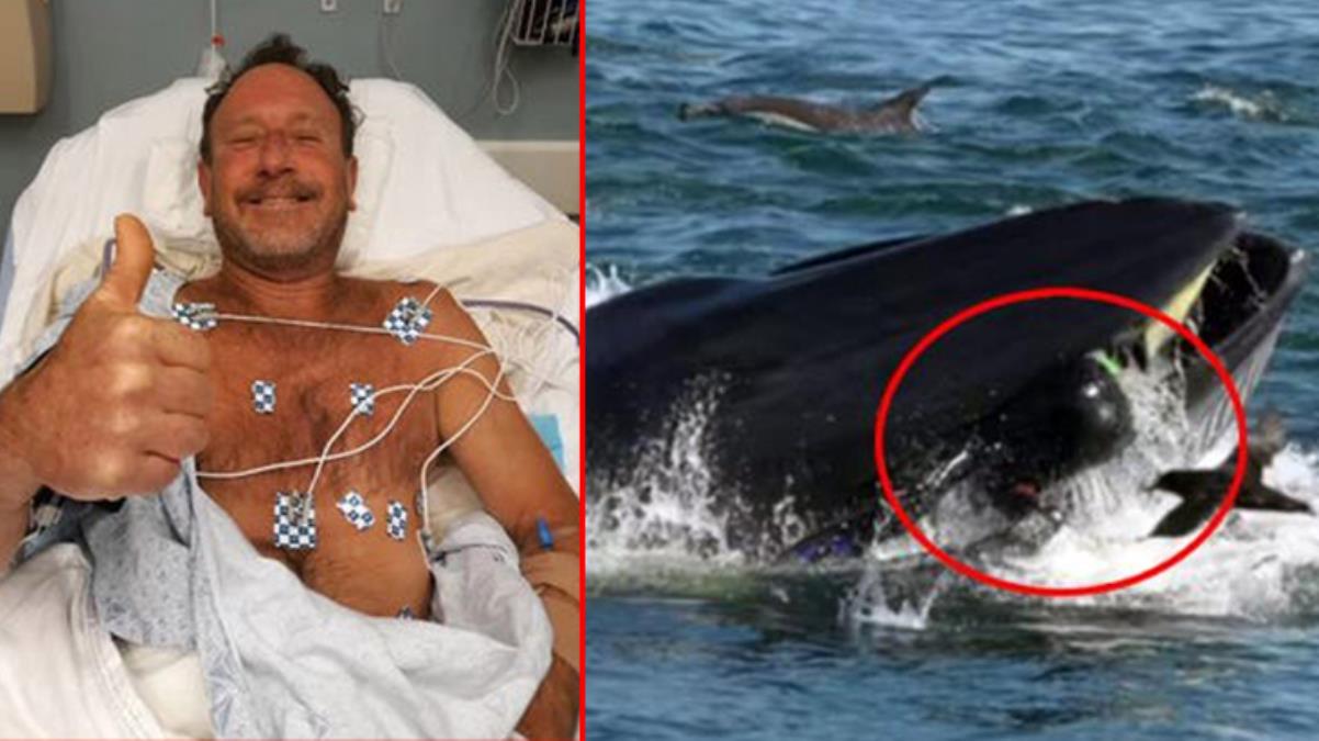 Balinanın yutup tükürdüğü ABD’li balıkçı, 3 kişinin öldüğü uçak kazasından da sağ kurtulmuş