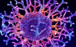 İmmünoterapi Nedir Ve Kanser Tedavisinde Nasıl Etki Gösterir?